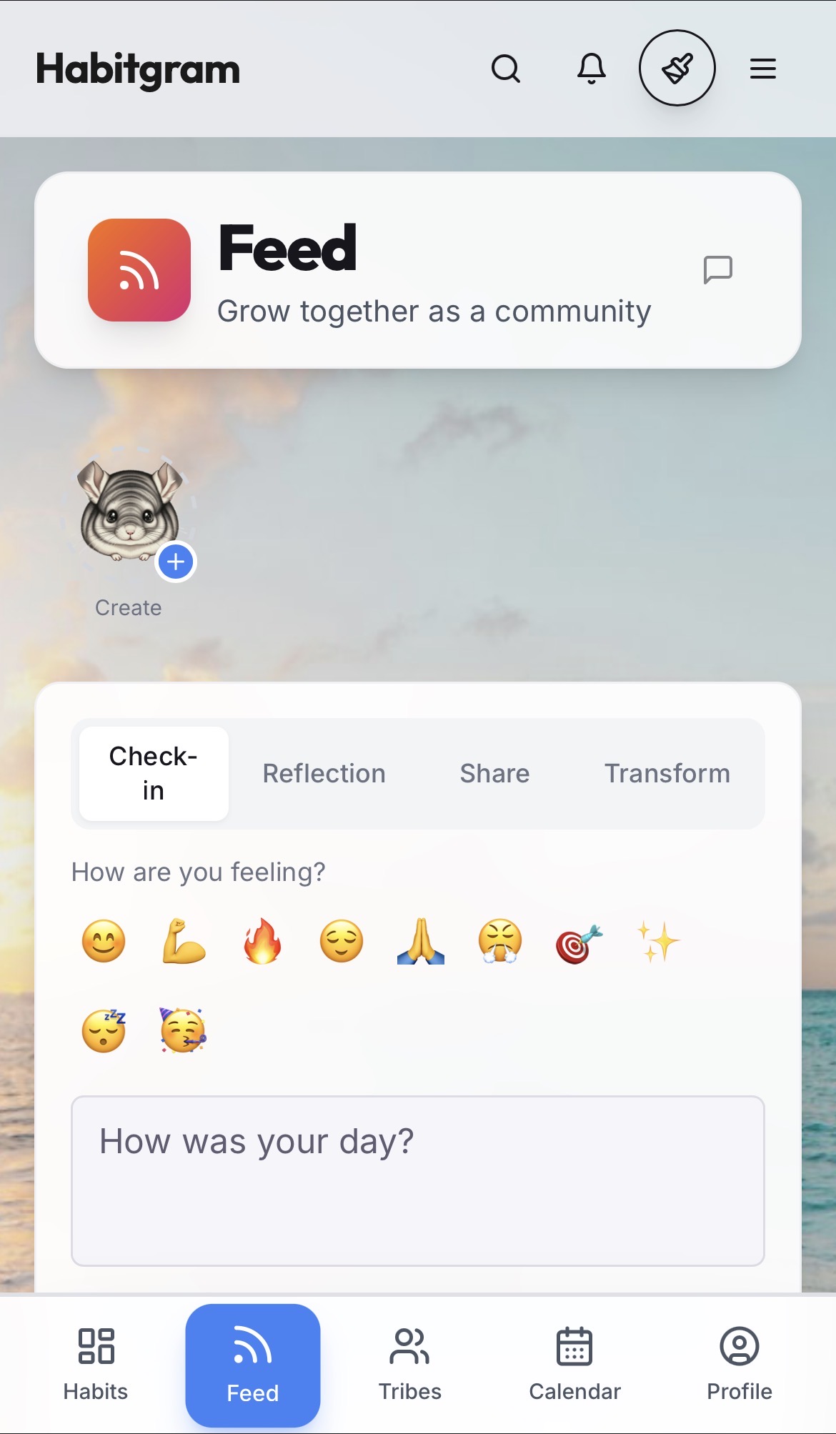 Feed & Community