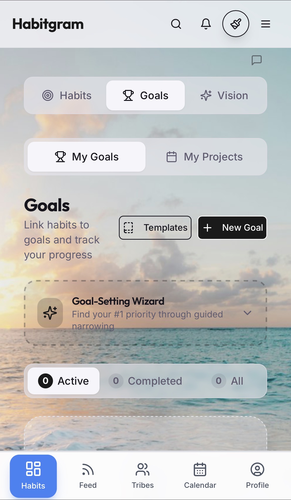 Goals & Vision